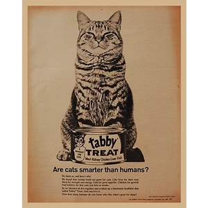 1966&#039; TABBY TREAT 