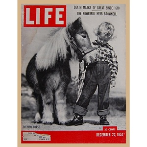 1952&#039; HORSE 