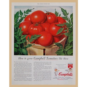 1955&#039; Campbell&#039;s Tomatoes